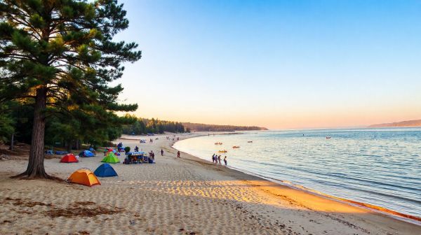 Découvrez les activités incontournables à Camping Lacanau